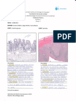 Intestino Grueso, Apendice e Higado-1