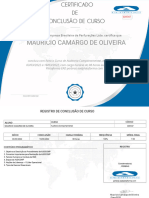 Auditoria Comportamental - MAURICIO CAMARGO OLIVEIRA
