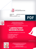 4 Practica Microbiologia PDF