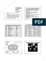 Chương 2 - Bài 4 Beta Lactam