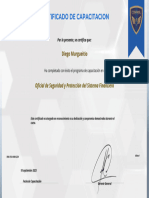 Certificado de Capacitacion: Diego Murgueitio