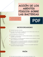 Acción de Los Agentes Físicos Sobre Las Bacterias