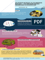 Infografía SEMANA 16