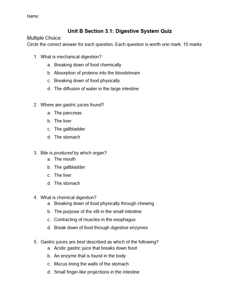 Digestive System Quiz PDF Digestion Human Digestive System