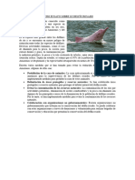Micro Ensayo Sobre Le Delfín Rosado