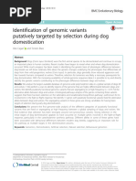 BMC-16 - Cagan - Blass - Identification of Genomic Variants Putatively Targeted by Selection During Dog Domestication