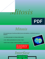 Mitosis y Su Relación