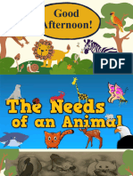 Needs of Animals