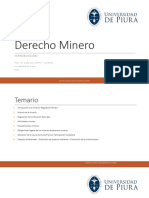 DiaposDerecho Minero 2020 - Diego San Martín