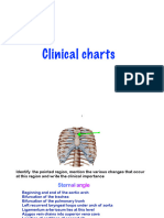 Clinical Charts Lims & Head N Neck
