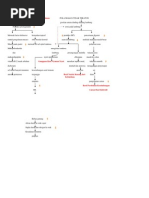 Pathways Gastritis