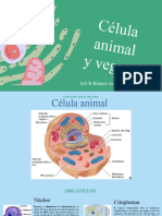 Presentación Biología Células PDF