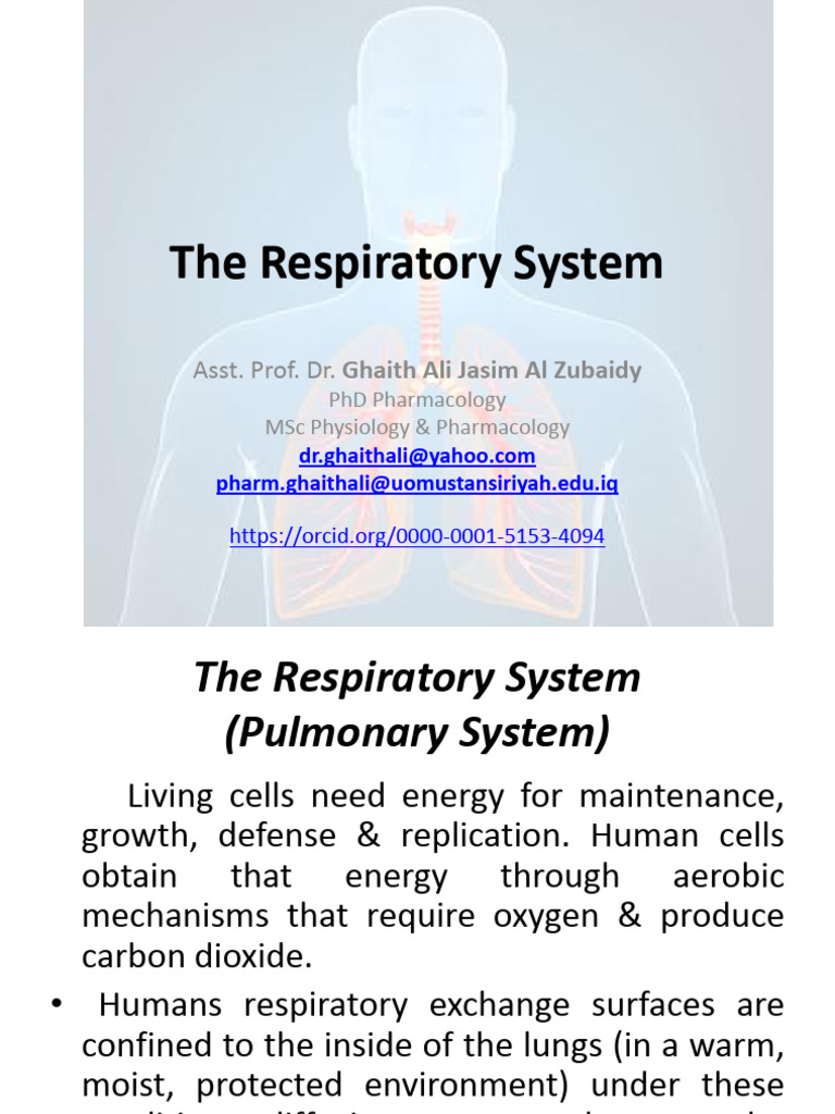The Respiratory System: Asst. Prof. Dr. Ghaith Ali Jasim Al Zubaidy ...