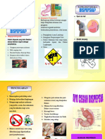 Leaflet Dispepsia