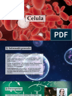 Bio Celula Proiect