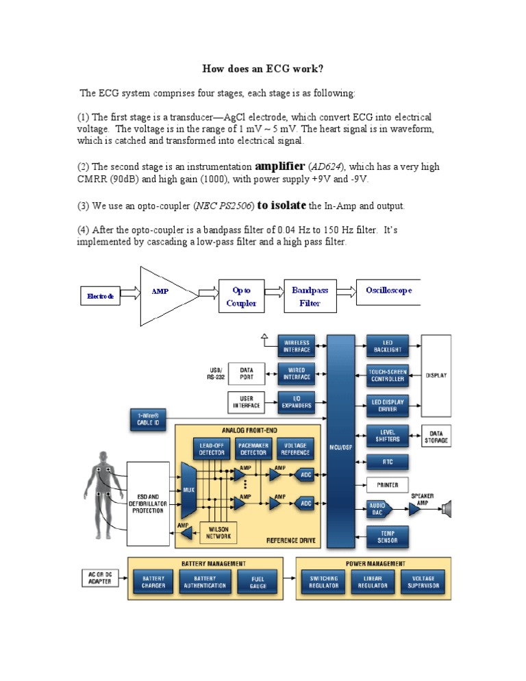 How ECG Systems Function Explained | PDF | Science & Mathematics ...