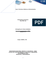 Vectores, Matrices y Determinantes Ejercicios