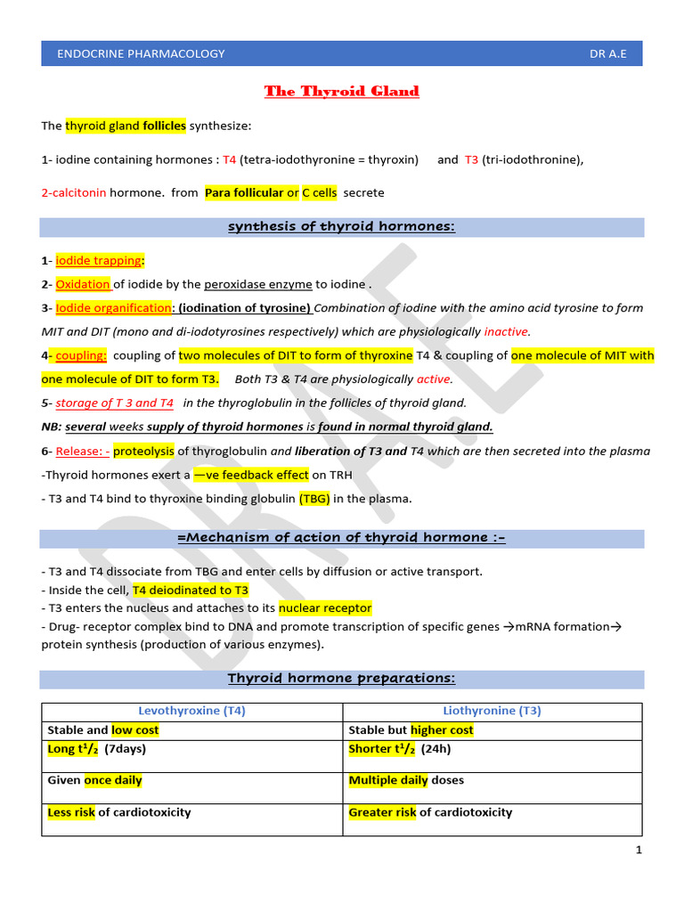 Thyroid Hormones: Functions and Treatments | PDF | Thyroid | Vitamin D