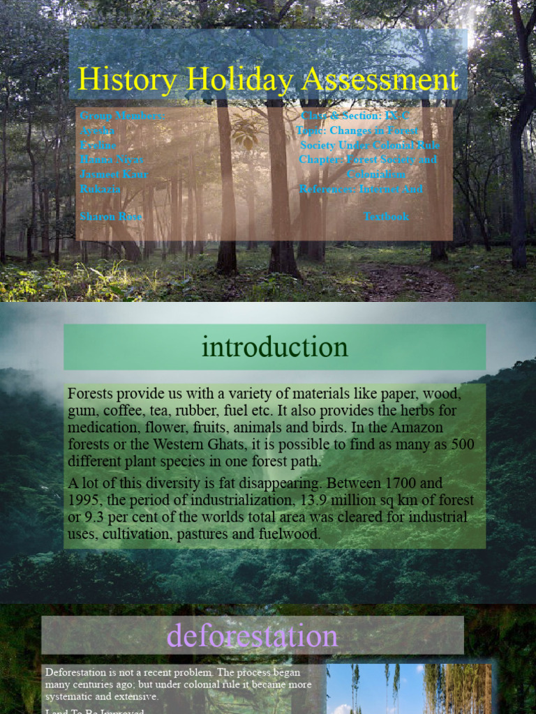 Geography Group Assessment (Holiday) PDF Forests Forestry