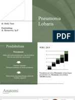 Pneumonia Lobaris Pneumonia