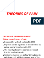 Pain Theories
