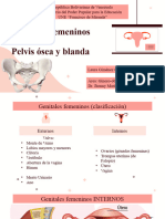 Genitales Femeninos y Pelvis