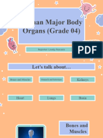 Human Major Body Organs (Grade 04)