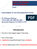 Development of the Integumentary System 2