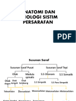 Anatomi Fisisologi SSP