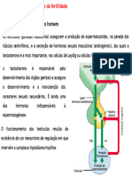 1.reprodução e Manipulação Da Fertilidade-2