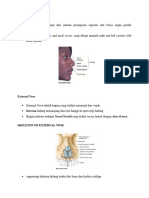 Anatomy Hidung - Nasopharynx