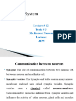 Nervous System Topic 2 Lecture 4 5