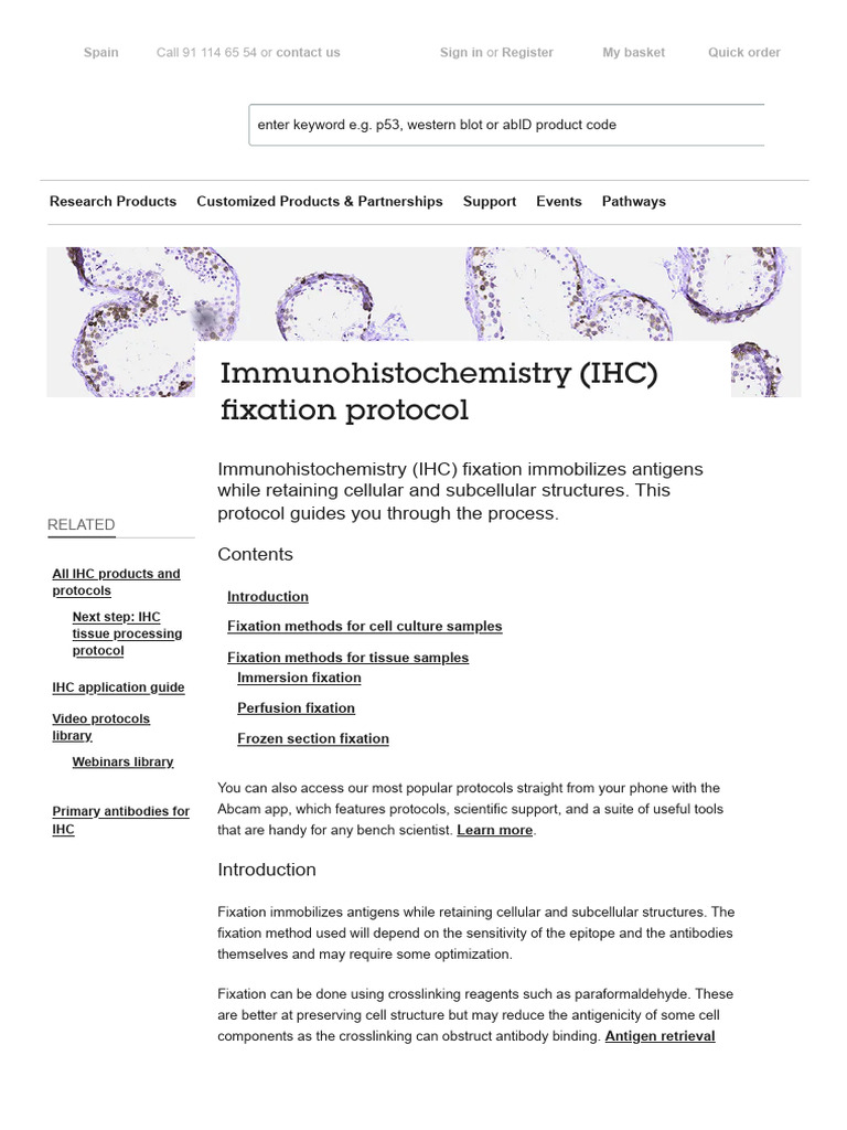 Immunohistochemistry Fixation Protocol Abcam PDF Fixation