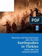 UNDP Earthquake (FINAL)
