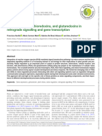 Redox Regulation, Thioredoxins, and Glutaredoxins (Review 2023)