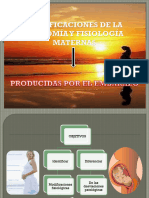 TEMA 3 - MODICICACIONES EN EL EMBARAZO II - OFICIAL XD
