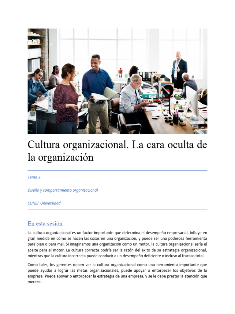 Importancia de la Cultura Organizacional | PDF | Sustentabilidad | Netflix