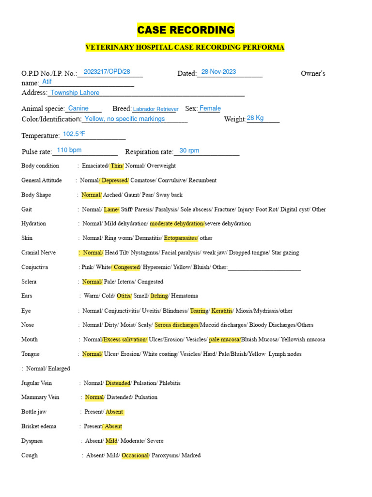 Veterinary Case Recording Template | PDF | Medical Specialties ...