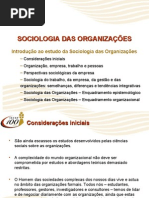 SO Introdução ao Estudo da Sociologia Das Organizações