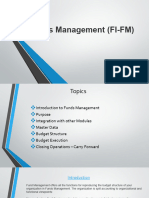 Funds Management (FI-FM) V1