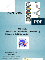 Clase 10 Adn - Arn