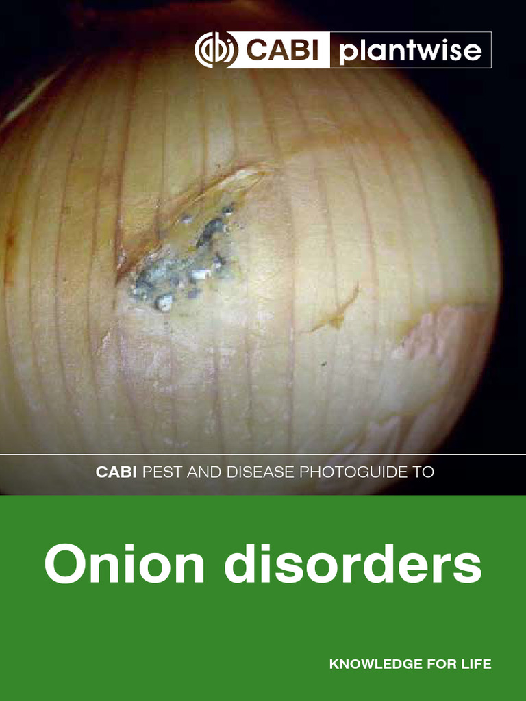 Onion Disorders PDF Onion Fungus