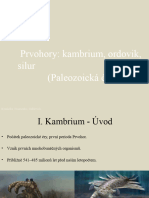 Kambrium - Ordovik - a - Silur (1) (копия)