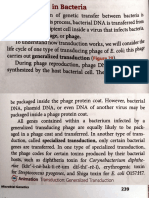 Transduction in Bacteria, Viral Multiplication