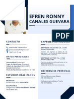 CV Efrencanales