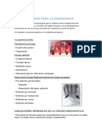 Cirugía para La Endodoncia