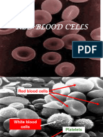 Lec-12 Red Blood Cell-1