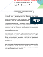 Aula+-+Protocolo+de+avaliação +da+entrevista+à+testagem+psicológica