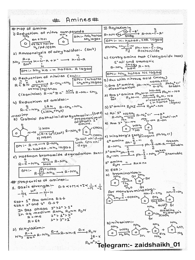 Amines (Printable From) | PDF
