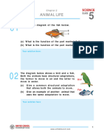 Chapter-2 STEPUP SCIENCE CLASS 5 QP